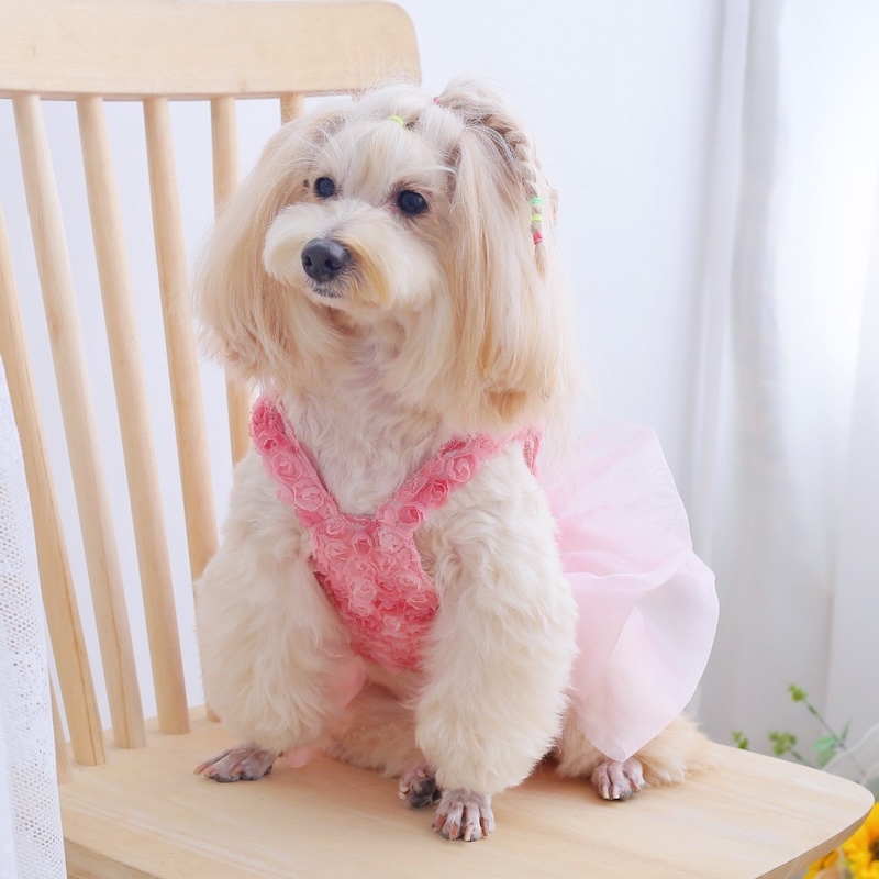 Rose Floral Cake Dress for Sma - Summer Rose Clothing review and price