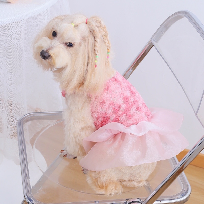 Rose Floral Cake Dress for Sma - Summer Rose Clothing review and price
