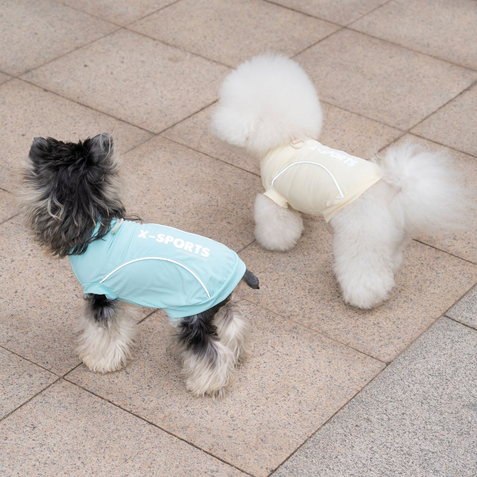 Pet Dog Clothing For Spring Su - Summer Clothing Cheap review and price